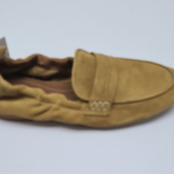 מוקסין  זמש קמל.