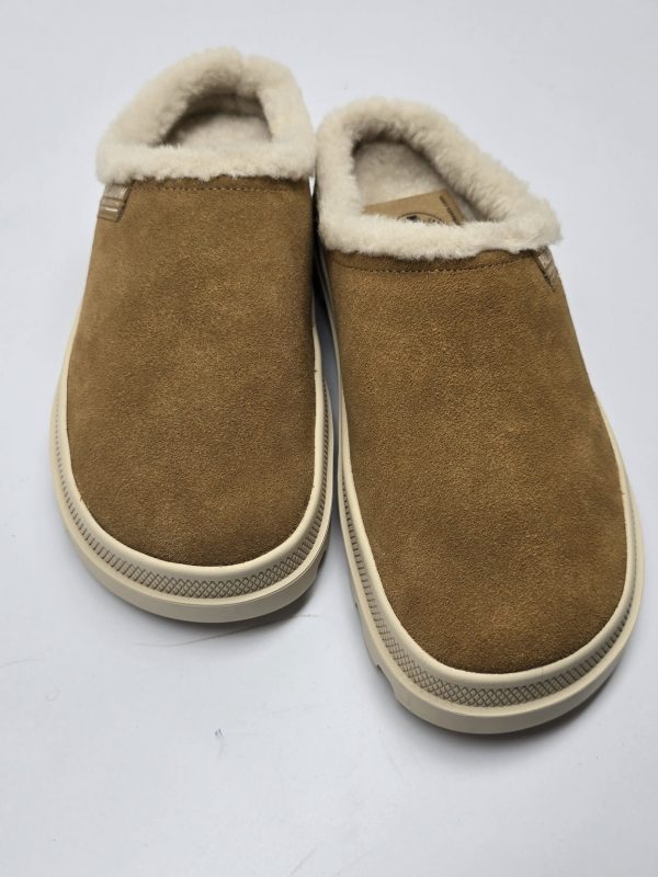 כפכף פרווה בז palladiom