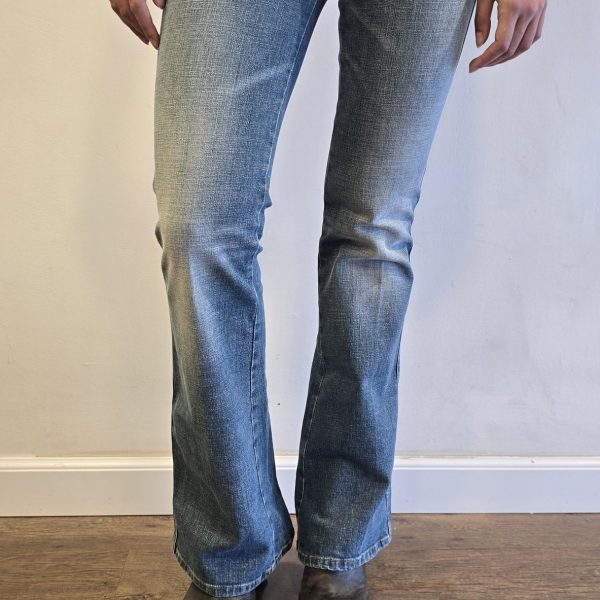 SUCCESSFUL  LIVING BRIGHT